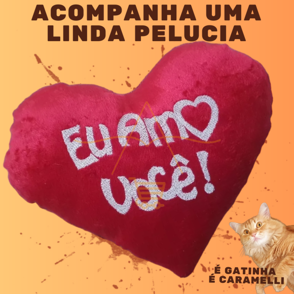 https://fostersolucoesem.futurasistemas.com.br/image/cache/watermark/data/eftr/Img_ftr_rp_106802-580x580.PNG