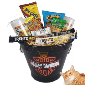 Kit Boteco com Balde de Gelo